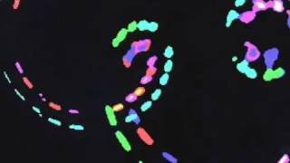 Lil Yatchy - Minnesota (remix)