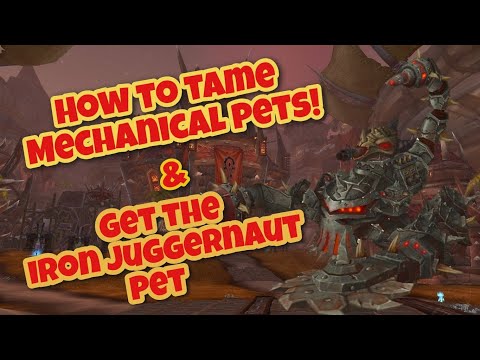 How To Tame Mechanical Pets, & Get the Iron Juggernaut Pet!