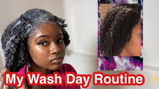 MY WASH DAY ROUTINE | Washing 4b / 4c hair | Black Girl Wash Day