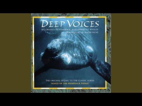 Video thumbnail for Deep Voices