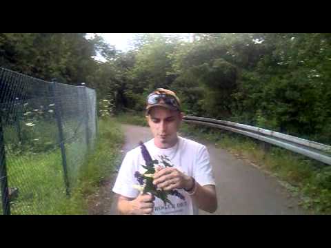 RAD1OONE - Ist verliebt !!!