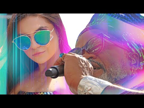 Bastidores do carnaval