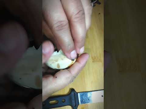 How to Clean And Cut Fresh Mushrooms -Basic Cooking #viral