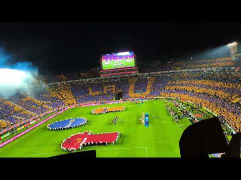 "Recibimiento Tigres VS Toluca Gran Final Apertura 2025 desde las gradas." Barra: Libres y Lokos &bull; Club: Tigres