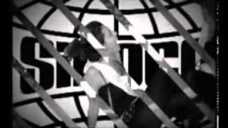 Por Mi Tripa - Pereza