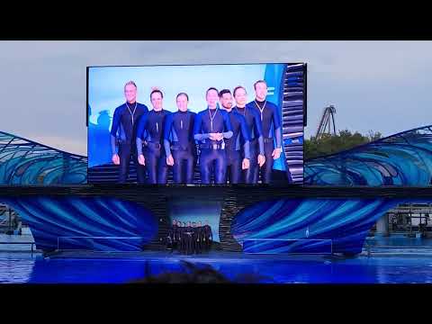 The Seaworld Orca Show