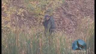 Drahthaar Trabajo en Agua