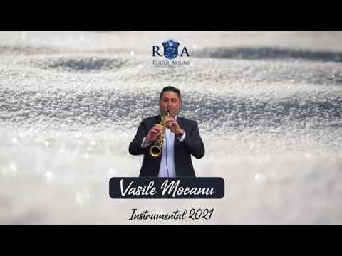 Vasile Mocanu   Instrumental 2021 1