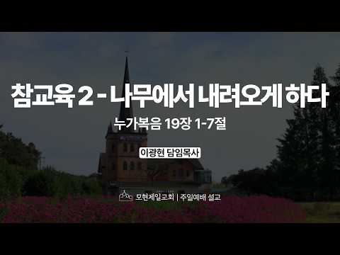 참교육 2_나무에서 내려오게 하다 | 누가복음 19:1~7 | 이광현 담임목사 | 모현제일교회 주일예배 설교 (2026년 6월 21일)