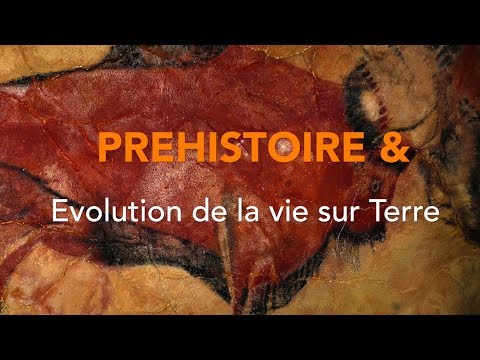 Dinosaures et Préhistoire