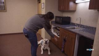 SDWR Training Open a Door