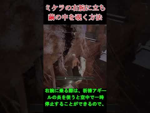 ミケラの繭を覗く方法 （ELDEN RING) #Shorts