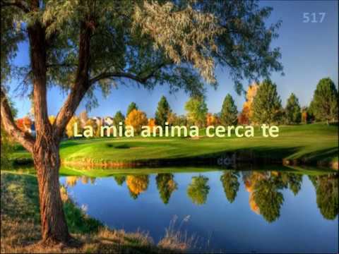 La mia anima cerca te