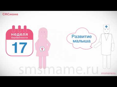 Боль в шее после мануальной терапии Анатомия нижней конечности суставы