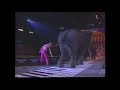 Gli Elefanti Del Ringling Bros 92