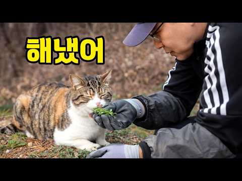 고양이랑, 드디어 쑥 캐러 갈 수 있었던 날...