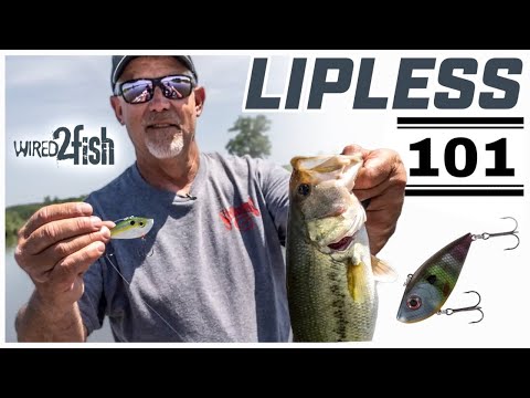 Lipless Crankbait Versatility with Scott Suggs