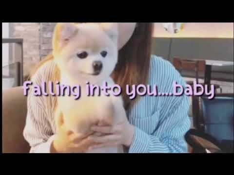 Joel Corry - Good As Gold (feat. Hayley May lyrics live cover by Gigi