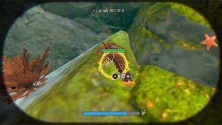 【ネタバレ注意】とったどー！／パラノマサイトFILE38伊勢人魚物語
