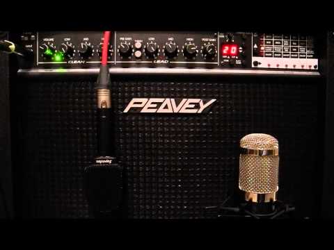 Peavey Transfex 208 Stereo with Jensen CH 8/35 Mod 8 Speakers, the effects !