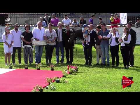 1 st place N.58 SG WENDETTA - 2017 Italian Nationals - Mares Championship (Class 19)