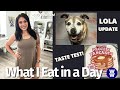 WHAT I EAT IN A DAY ON WW TO LOSE 140 POUNDS LOLA LIFE UPDATES LOTS GOING ON WEIGHT WATCHERS