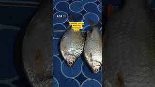 Download lagu Thank God 🤲#shorts mp3 Download lagu Thank God 🤲#shorts mp3