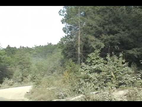 Galway-Cavendish Forest Rally