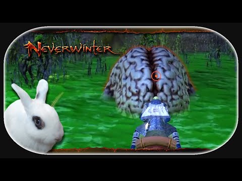 NEVERWINTER: Adventures in Wildspace 🐇 10 - Nieder mit dem Gehirn!