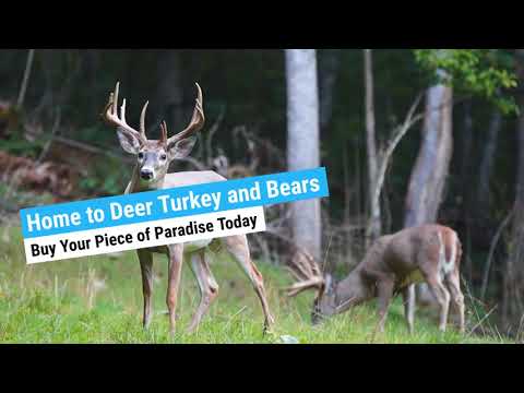 Oklahoma, A hunters paradise