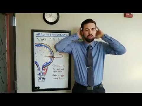 What is the Dura Mater? - A Discussion with Dr. Ian Bulow