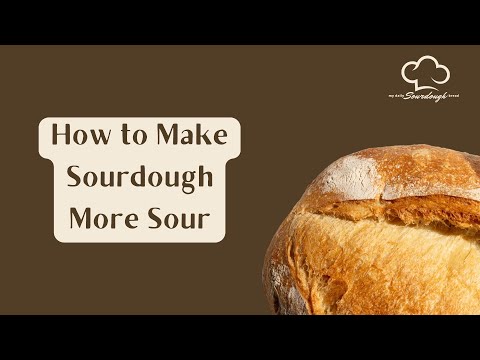Sourdough Bakery: The Tangy Heart of Artisan Bread | Vibepedia