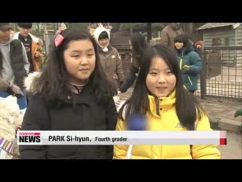 2015年、羊年を迎える 꼬까옷 입은 양들...′내년은 우리가 주인공′ (Welcoming 2015, the Year of the Sheep 꼬까옷 입은 양들...′내년은 우리가 주인공′)