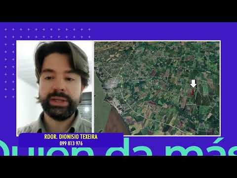 Dionisio Texeira remate concursal campo en Colonia Arrué