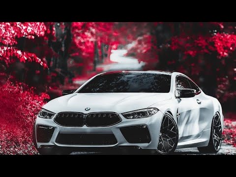 A29 - Modern Clvb  Forest (Bass Boosted) Car Music 2021