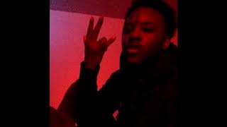 SPACEGHOSTPURRP AKA VAMP MONEY - FLORIDA SEASON / 2017