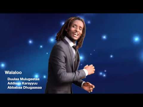 Abbabaa Dhugaasaa New Afaan Oromoo Music "DIDI"  2020 (Offial Video)