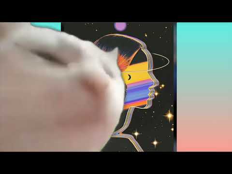 Ludim 10 minuta: Cat Vibes Hard