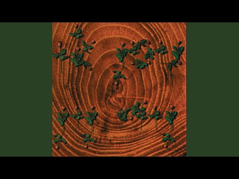 Neem Me Mee Naar Middernacht