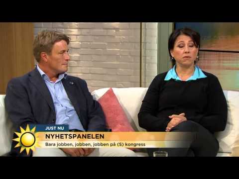 Hanne Kjöller: "Löfven fungerar någorlunda" - Nyhetsmorgon (TV4)
