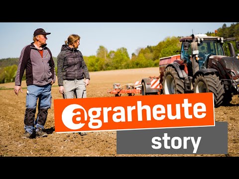 Teilflächenspezifische Maisaussaat