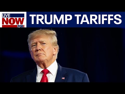 Video | Trump: Mexico-Canada tariffs to go into effect