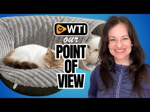 Cat Tunnel Bed for Indoor Cats - WTI product video review
