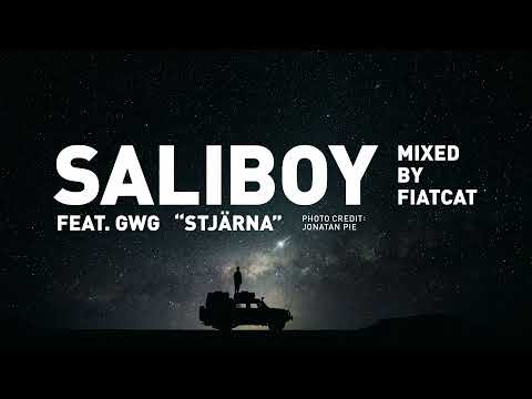 Saliboy feat. GWG – Stjärna (Mixed by FiatCat)