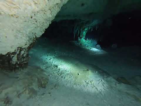 Dos Ojos Cenote- Yucatan, Feb 2022 - ©DMR- 026