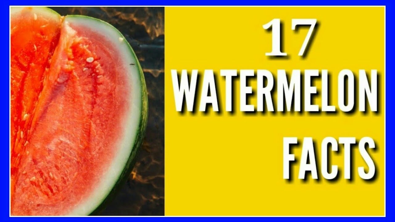 Is Watermelon Fruit or Vegetable