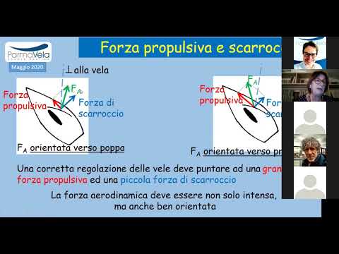 Ne parliamo con La barca veloce a tu per tu con le polari Prof.ssa Laura Romanò