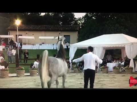 Obayana K.A. in the open house at Paolo Capecci training center