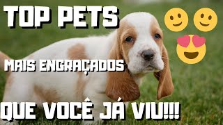 TOP FUNNIEST PETS YOU EVER SEEN!!!  TOP PETS MAIS ENGRAADOS QUE VOC J VIU!!! 