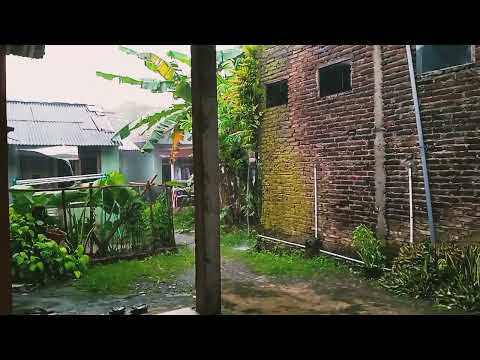 Sound of Heavy Rain - for Insomnia Meditation Relaxation |  ASMR - 5 minutes